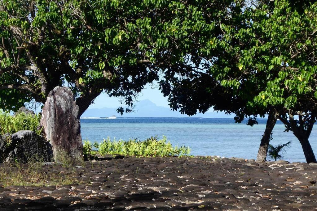 Raiatea, Opoa, Studio Du Fare Reve, Acces Mer Privatif Exterior foto